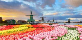 Relax Gaming brings content portfolio to Starcasino Netherlands