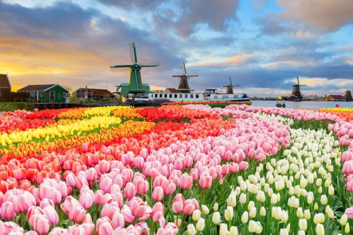 Netherlands