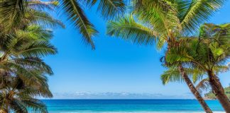 Games Global unveils summer slot plan Tropical island