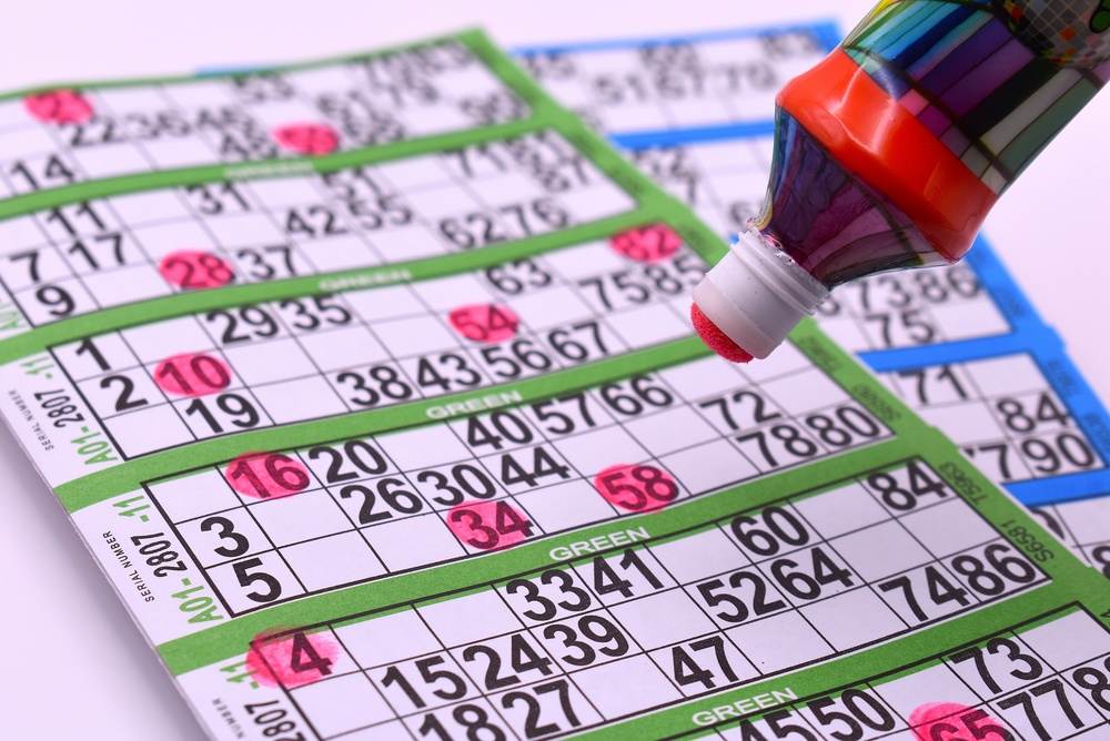 Bingo